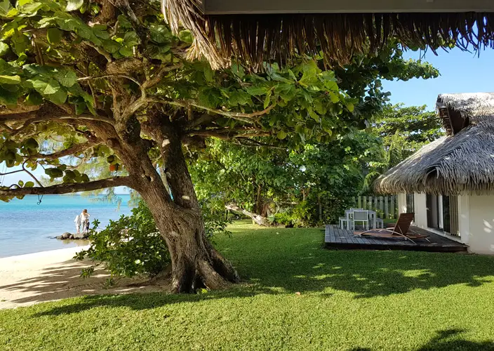 Live like Polynesians - Moorea - Photo of the day