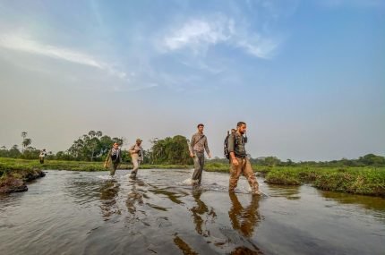 Exclusief verblijf in het hart van het nationaal park Odzala-Kokoua, juweel van Centraal-Afrika - Ngaga - Lango - Foto van de dag