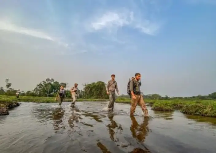 Exclusief verblijf in het hart van het nationaal park Odzala-Kokoua, juweel van Centraal-Afrika - Ngaga - Lango - Foto van de dag