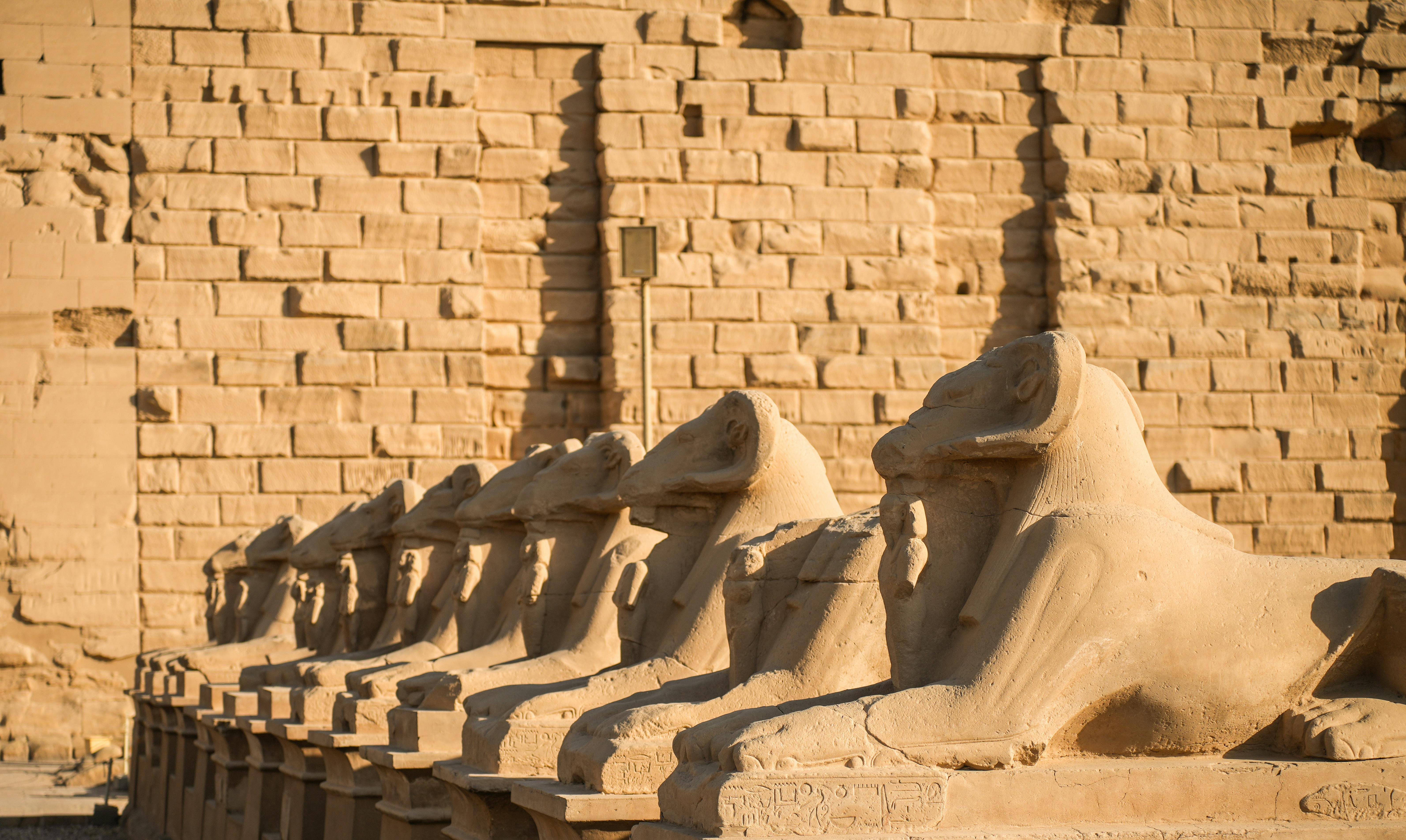 The treasures of Cairo and the cruise from Luxor to Aswan - Louxor - Esna - Edfu - Karnak temple