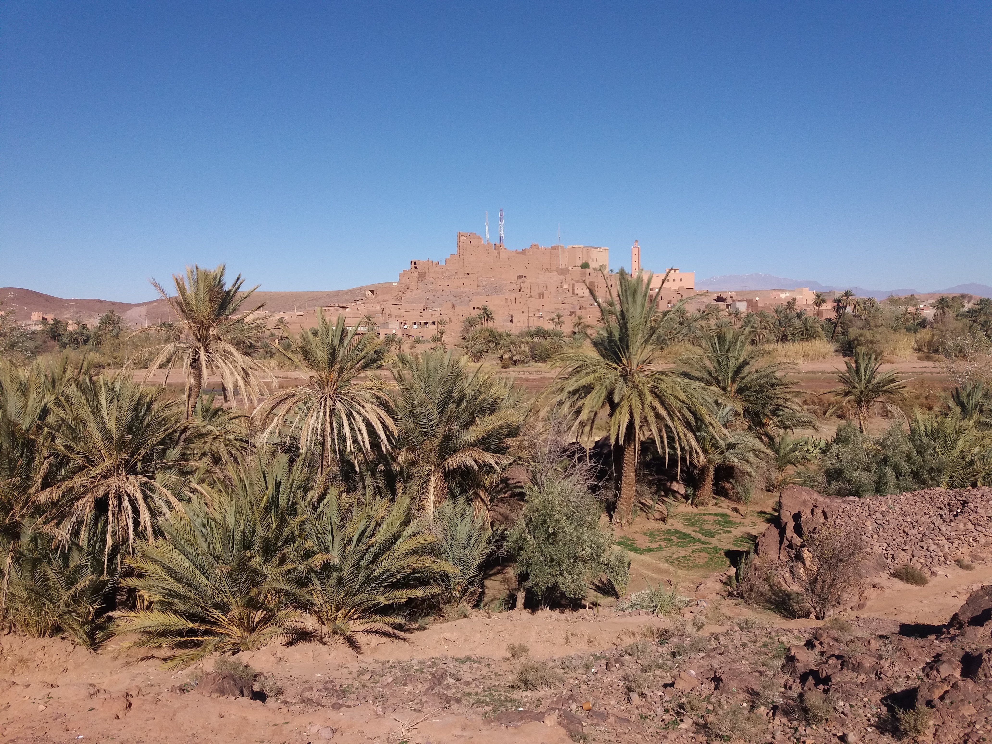 Trek et randonnée dans le désert – Vallée du Drâa – 5 jours - Marrakech - Vallée du Drâa - dunes Insrate - Photo du jour
