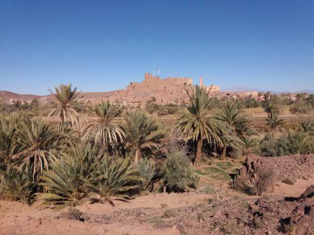 Trek et randonnée dans le désert – Vallée du Drâa – 5 jours