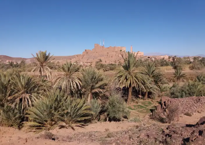 Trek et randonnée dans le désert – Vallée du Drâa – 5 jours - Marrakech - Vallée du Drâa - dunes Insrate - Photo du jour