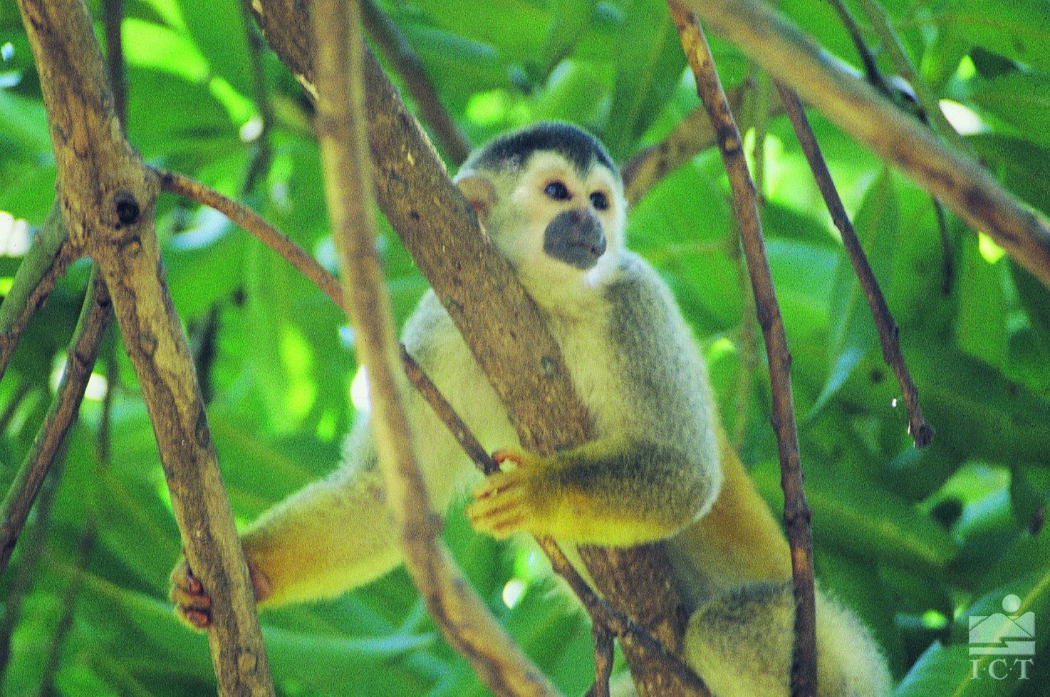 Descubrimiento del verdadero Costa Rica, orientado hacia la tierra y la agricultura. - Puerto Viejo de Talamanca - Puerto Viejo de Talamanca