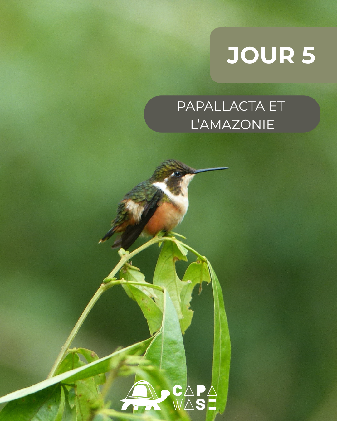 The Great Crossing of the Equator - in a small French-speaking group - Sunday - Route to the Amazon - Photo of the day