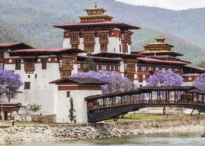 Points forts du circuit Népal Bhoutan - Visite de Thimphu & route vers Punakha, visite du Punakha Dzong - Photo du jour