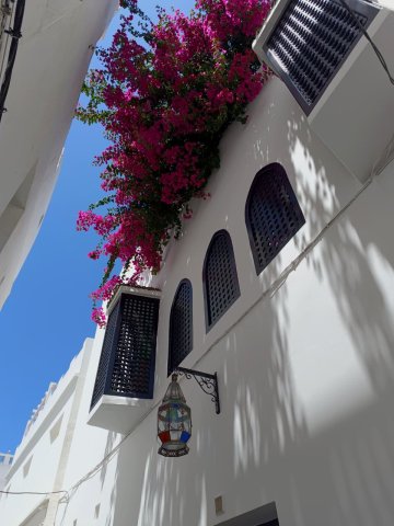 Grande Volta ao Marrocos