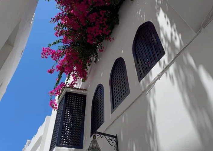 Grand Tour van Marokko - Rabat - Asilah - Tanger 2u 48min (246 km) - Foto van de dag