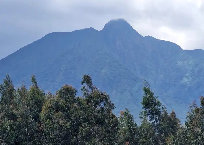 14-tägiges Abenteuer in Ruanda und Uganda - Morgendliche Golden Monkey Trekkingtour im Mgahinga NP - Tagesfoto