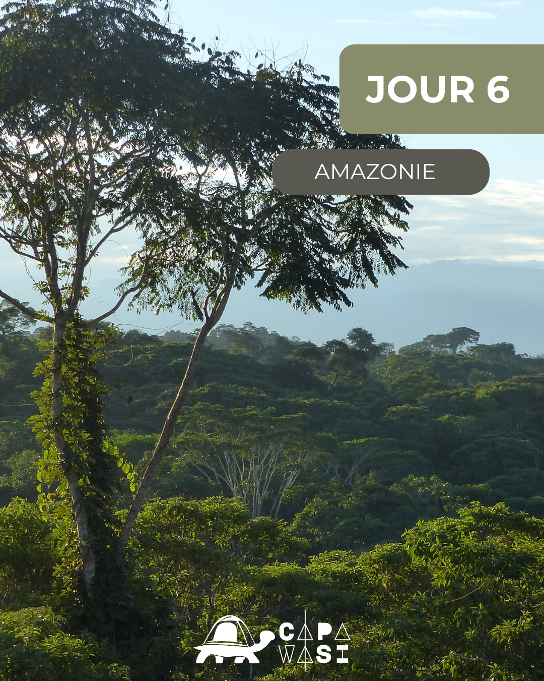 The Great Crossing of the Equator - in a small French-speaking group - MONDAY - Exploration in the jungle - Photo of the day