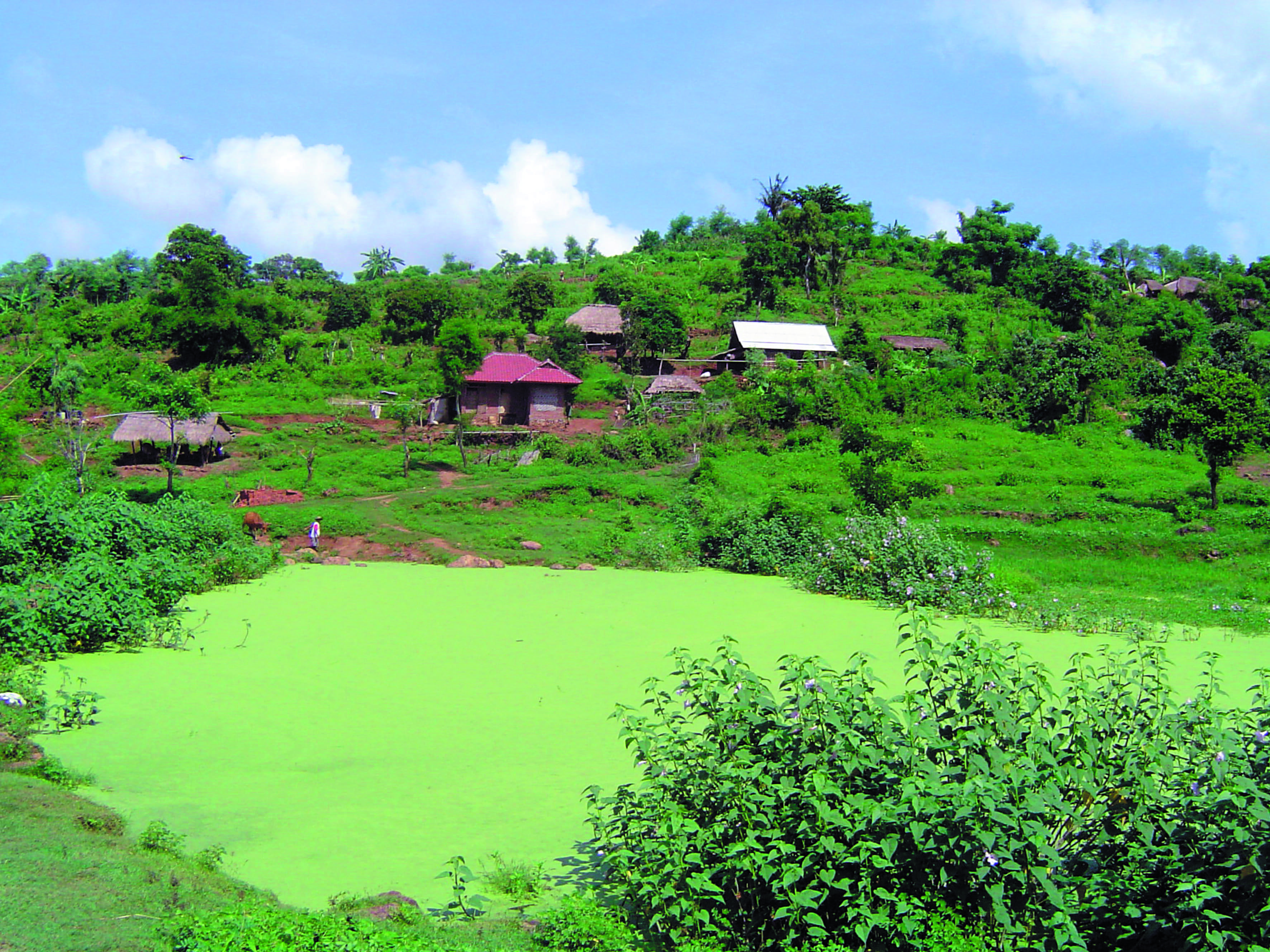 Bali: sensaciones en grupo pequeño - Salida de Bali - Départ de Bali