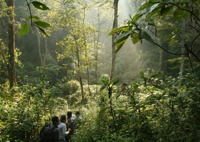 14-daagse Rwanda-Oeganda Avontuur - Ochtend: Rijd naar Bwindi Impenetrable NP - Foto van de dag