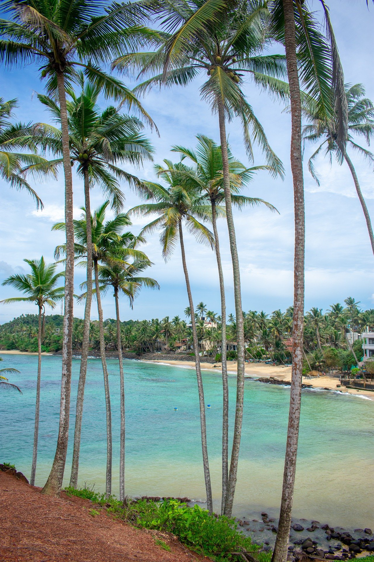 Splendeurs de l'île merveilleuse - Détente sur les plages dorées de Beruwela - Détente sur les plages dorées de Beruwela