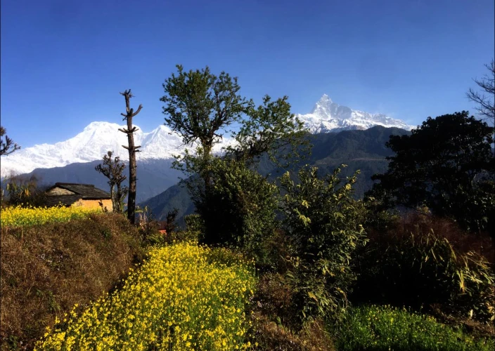 Faces of Nepal - Tales of Machapuchare, the holy mountain - astam