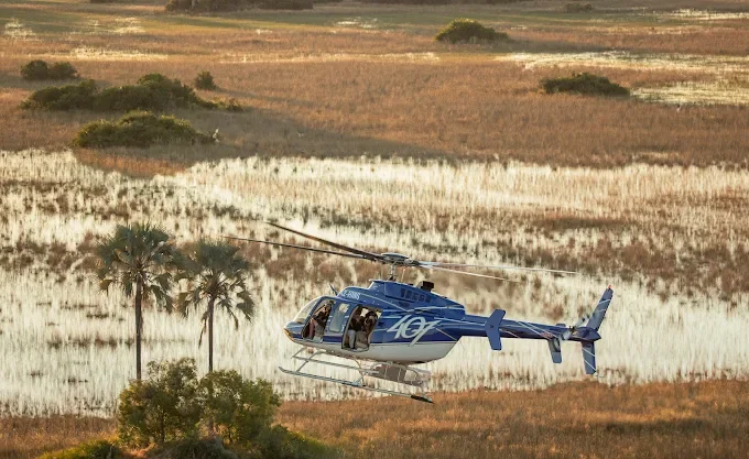 Khwai à pied - Cachette souterraine & Vol en hélicoptère vers Little Sable - Photo du jour