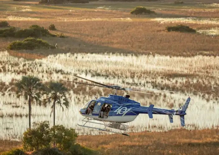 Khwai on Foot - Underground Hide & Helicopter Flight to Little Sable - Photo of the day