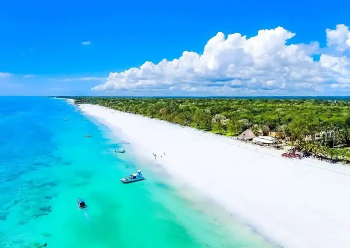 Esencia de Kenia Safari - Diani – Relajación Costera - Foto del día