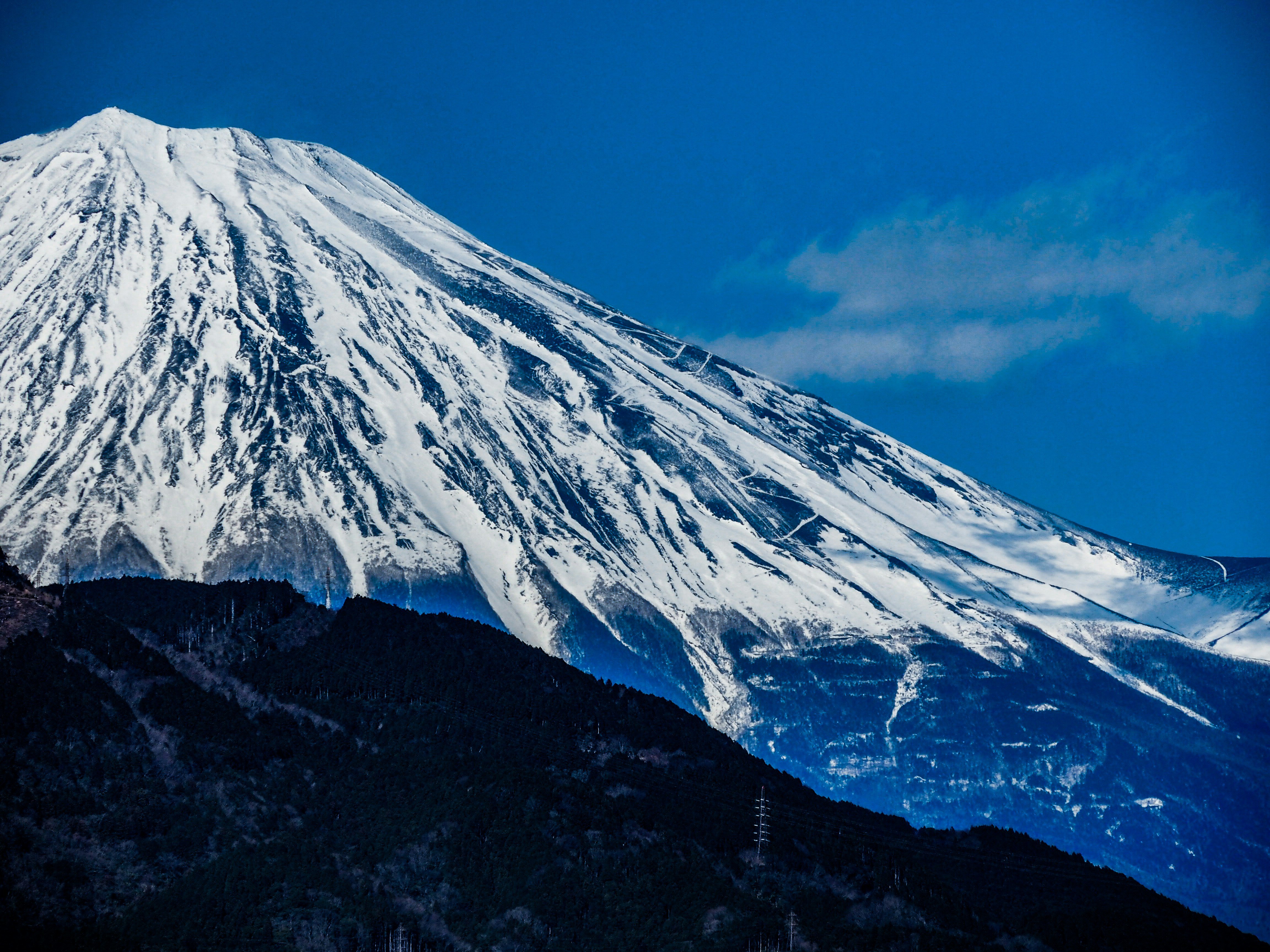 Japón bajo los cerezos en flor - Región del monte Fuji - Foto del día