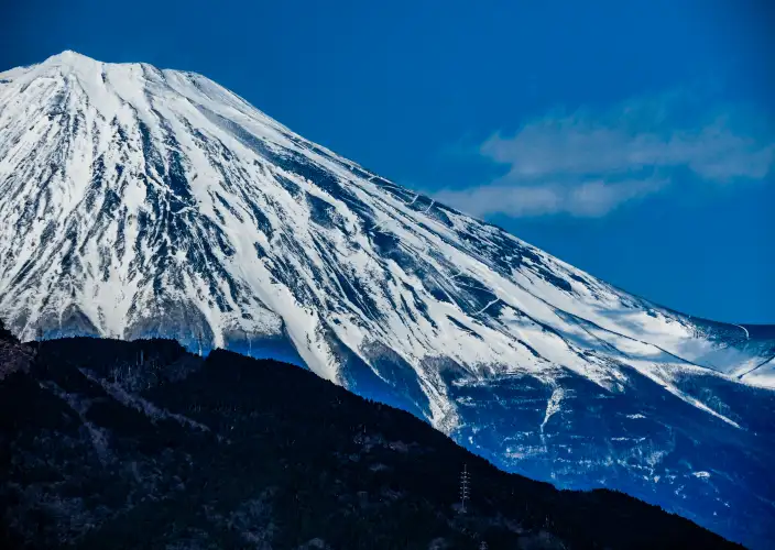 Japón bajo los cerezos en flor - Región del monte Fuji - Foto del día