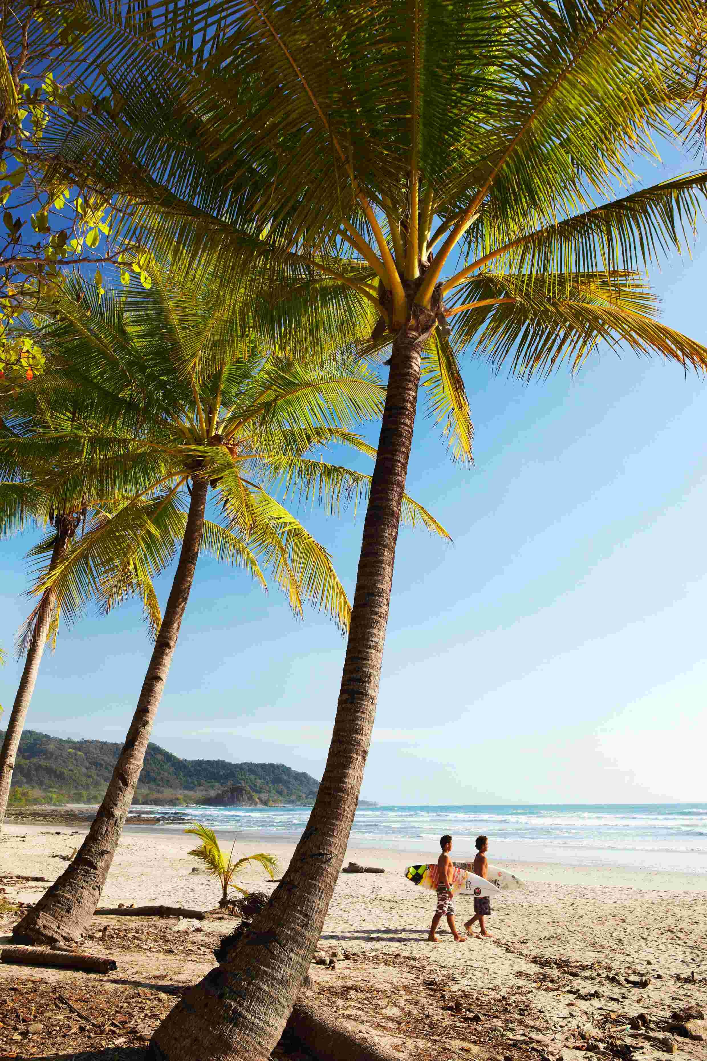 Entre plages et volcans - Cours de surf et Pura Vida - Cours de surf et Pura Vida