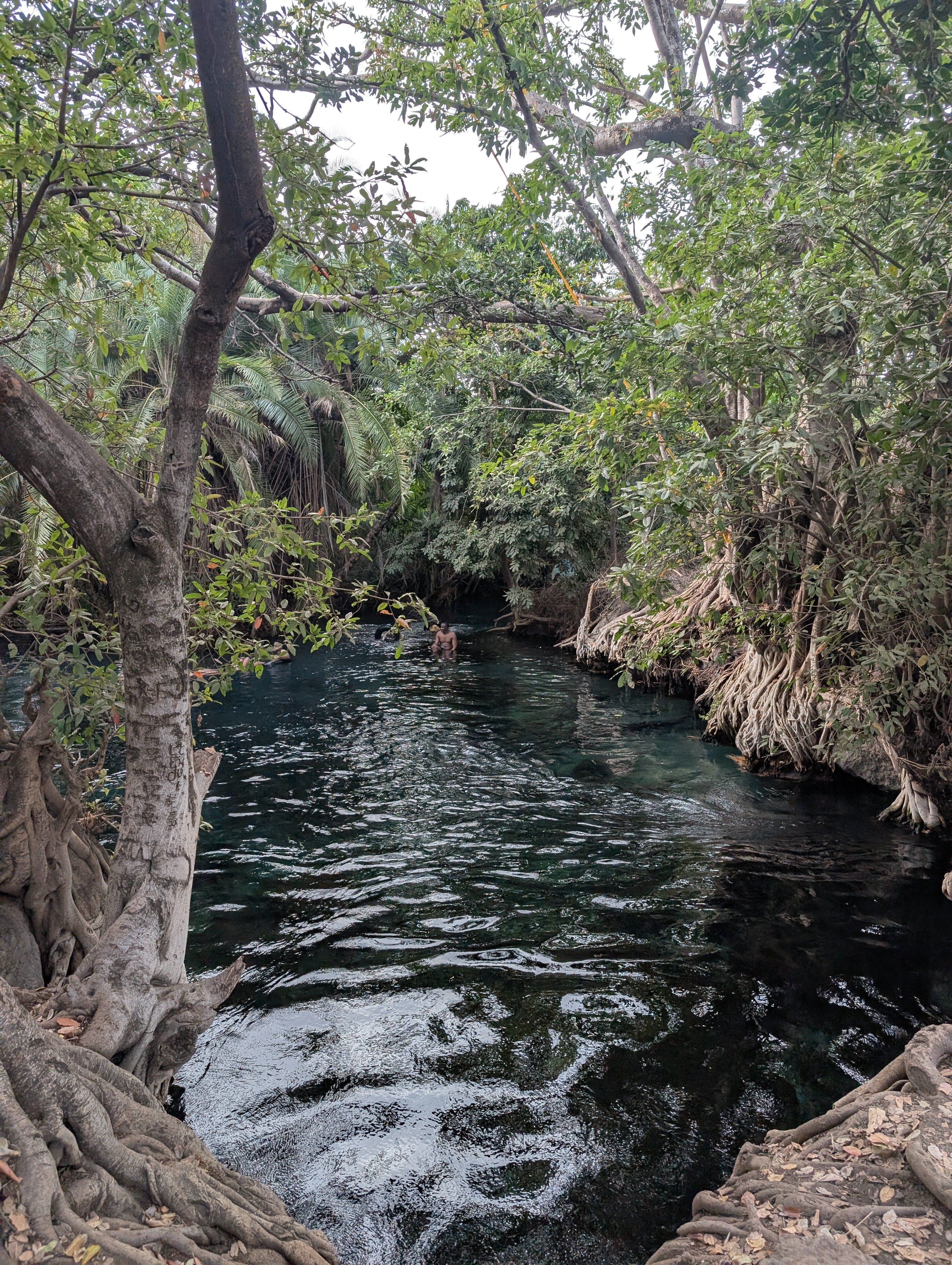 La Tanzanie autrement : safari et expériences locales - Aventure à Materuni et détente aux sources chaudes de Chemka - Photo du jour