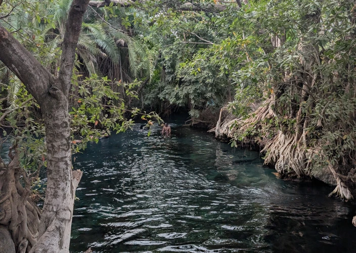 La Tanzania in modo diverso: safari ed esperienze locali - Avventura a Materuni e relax alle sorgenti termali di Chemka - Foto del giorno