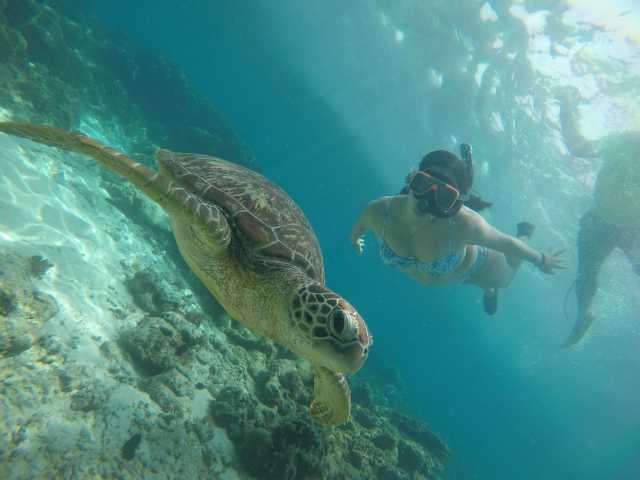 Tour di 2 giorni ad Apo Island e Manjuyod Sandbar con sistemazione in hotel