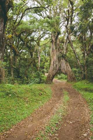 Les incontournables de la Tanzanie