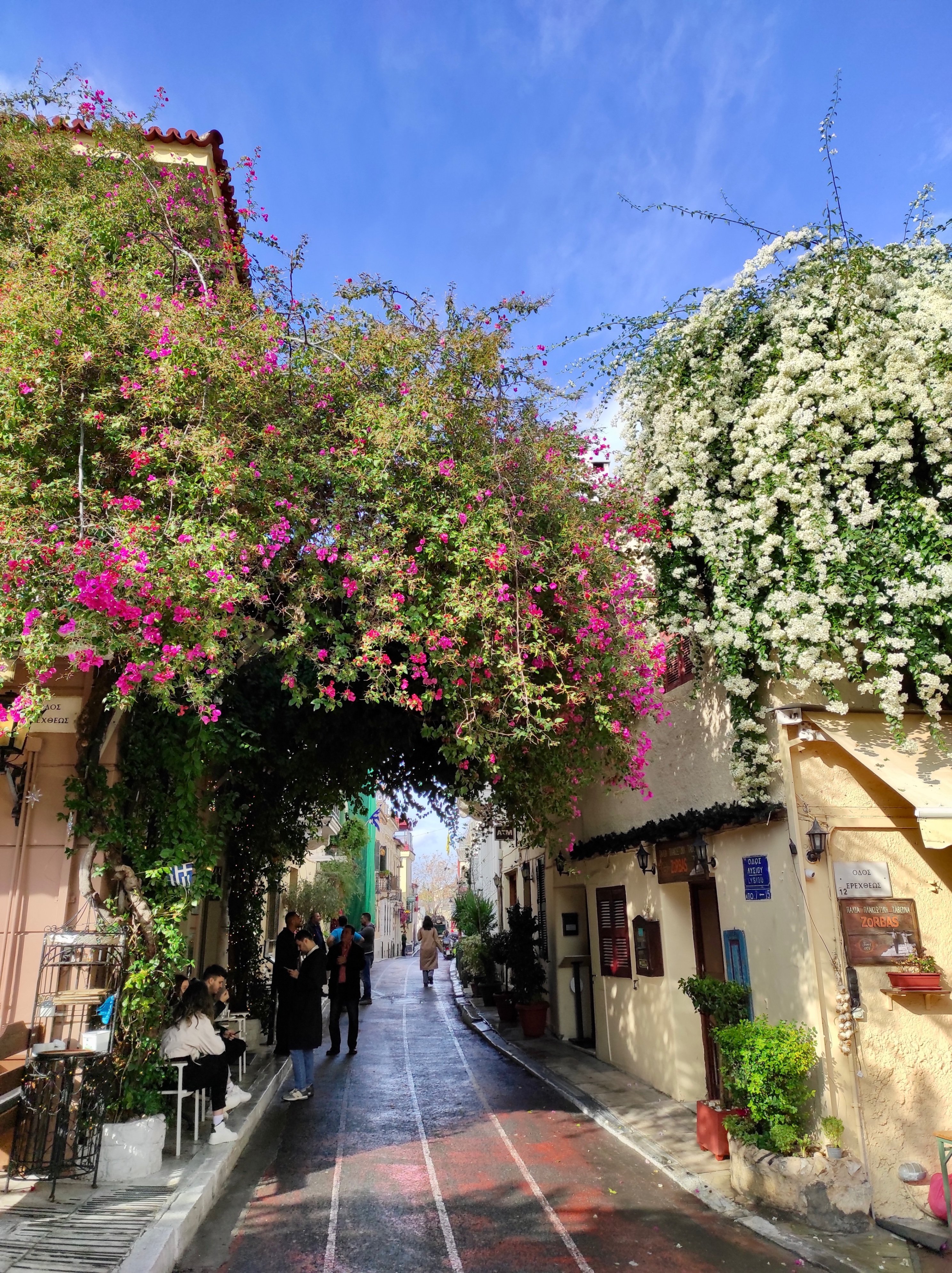 Grecia de sur a norte - test test - Foto del día