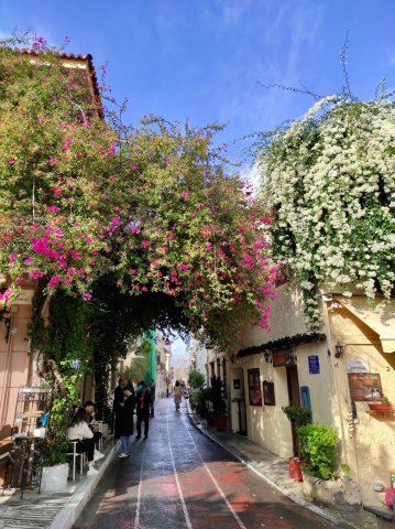 Grecia de sur a norte