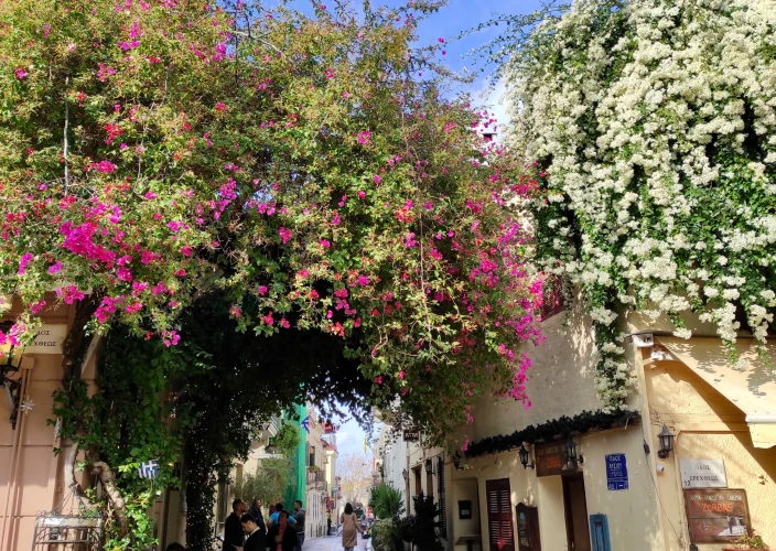 La Grèce du Sud au Nord - Visite d'Athènes - Photo du jour