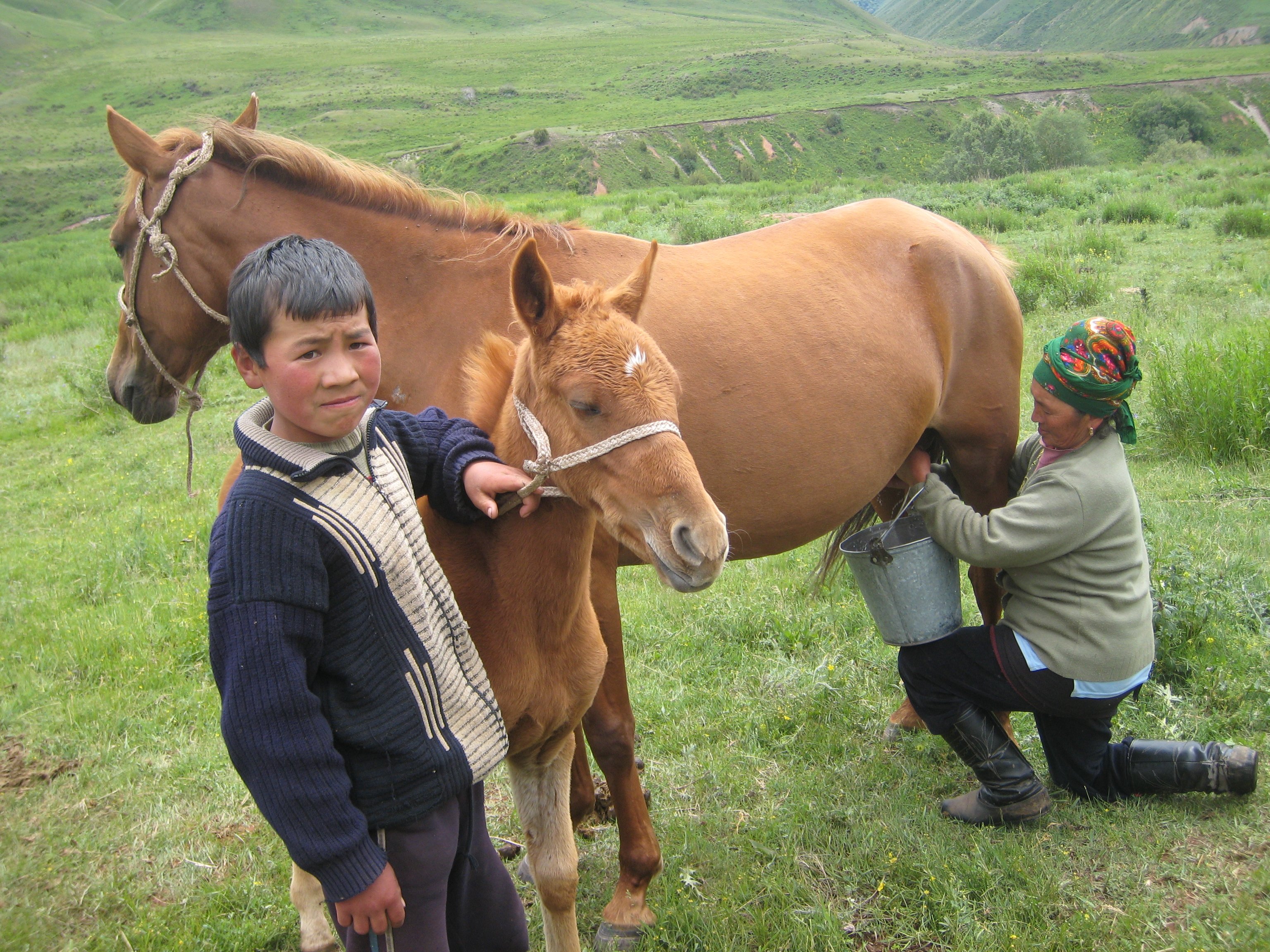 Maßgeschneiderte Tour zu den schönsten Seen Kirgisistans - KYZYL OI – KYZART – KILEMCHE (TRANSFER + TREKKING ZU PFERD) - Tagesfoto