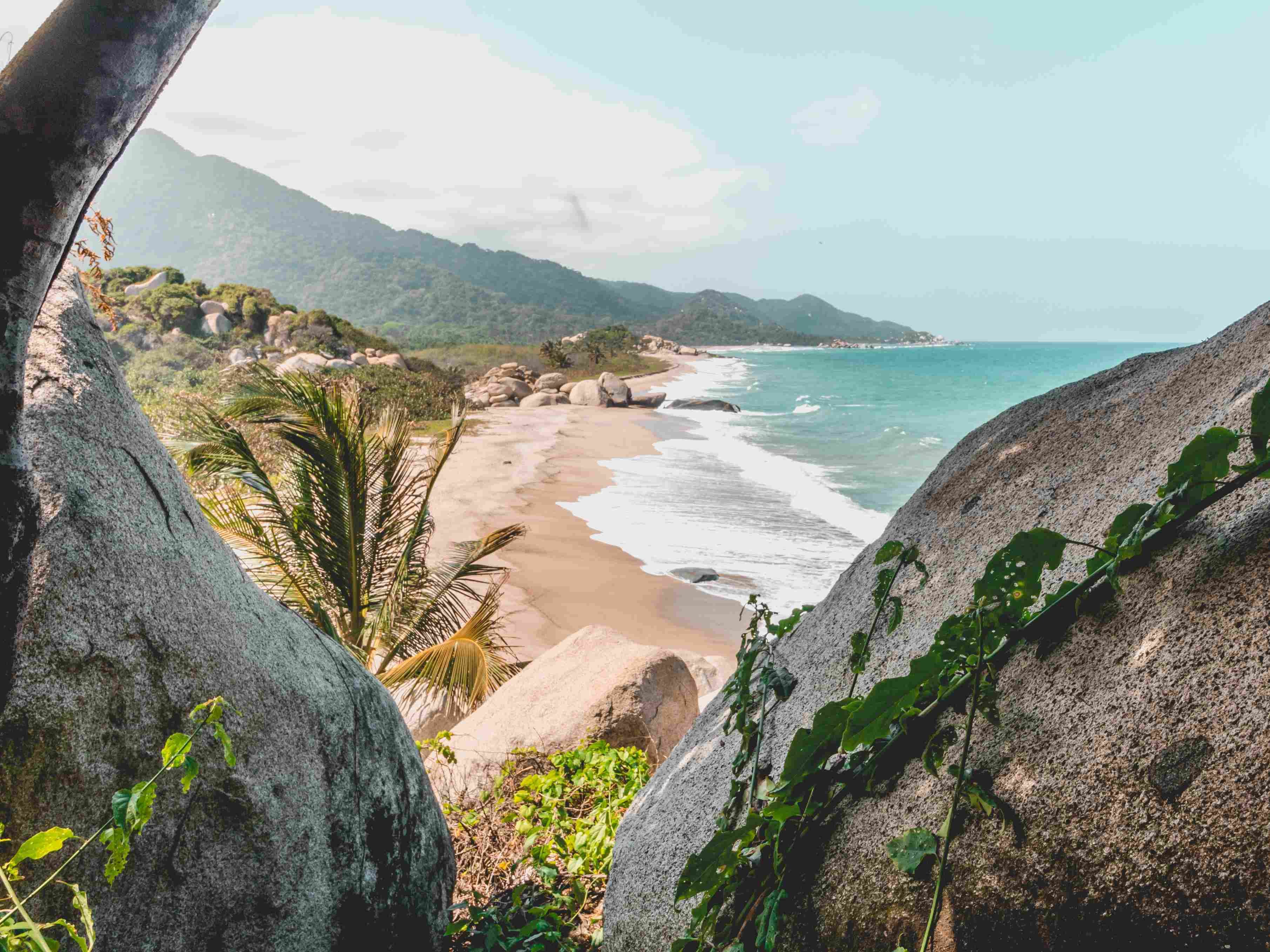 Van de Amazone tot de Stille Oceaan - Dag 15: Tayrona Park - Jour 15 : Parc Tayrona