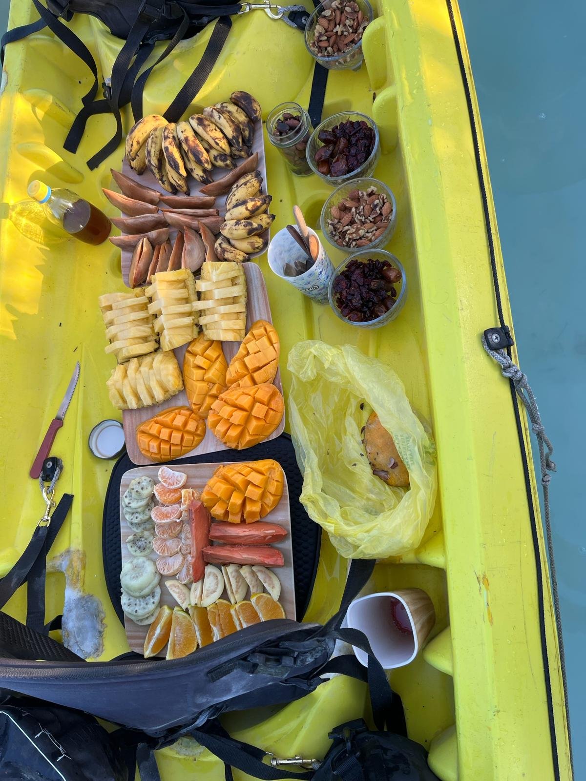 O circuito de Yucatán ☀️ - Caiaque ao nascer do sol: imersão na natureza - Foto do dia