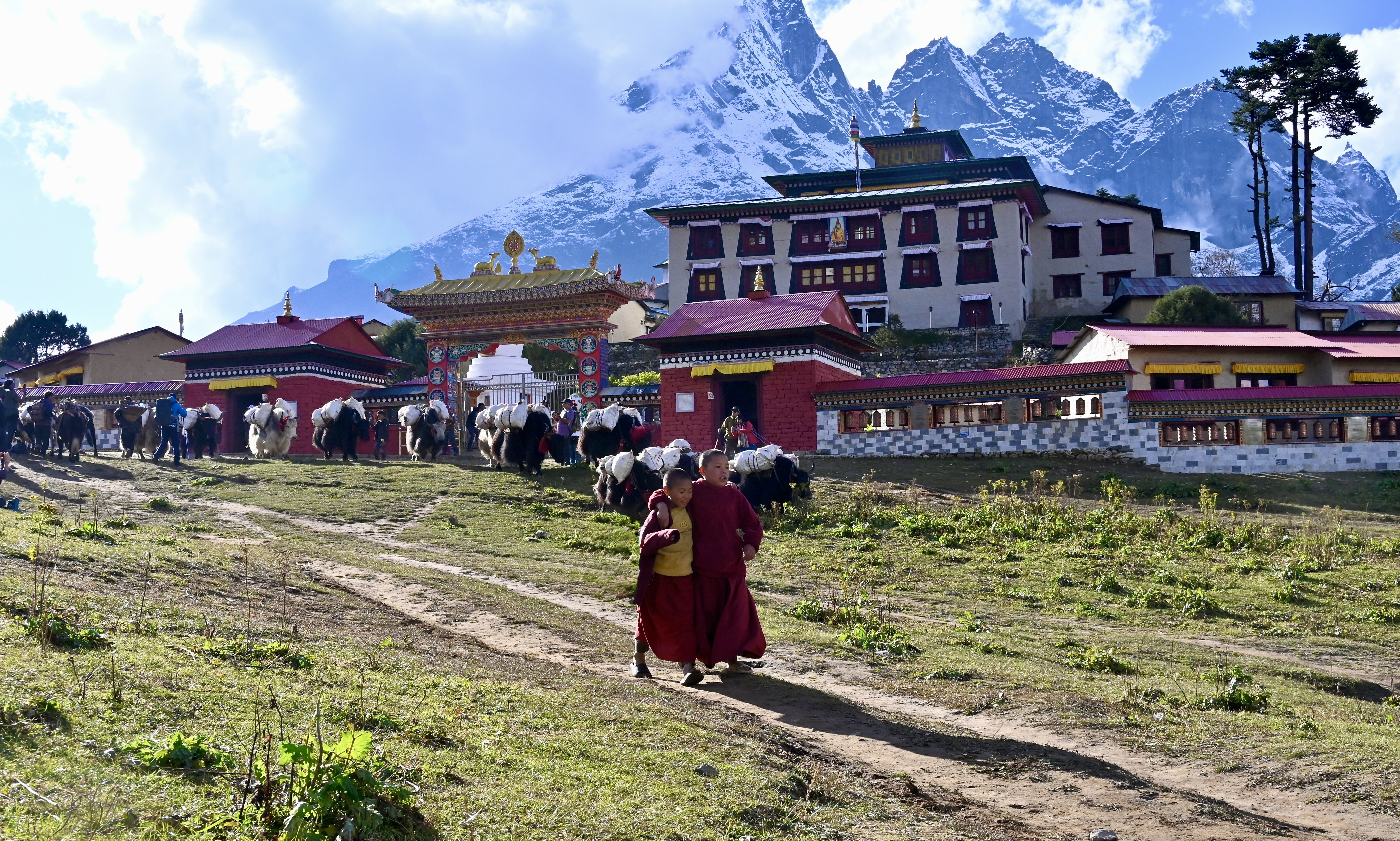 Tengboche - Court Trek de l'Everest - Trek vers Tengboche - Photo du jour