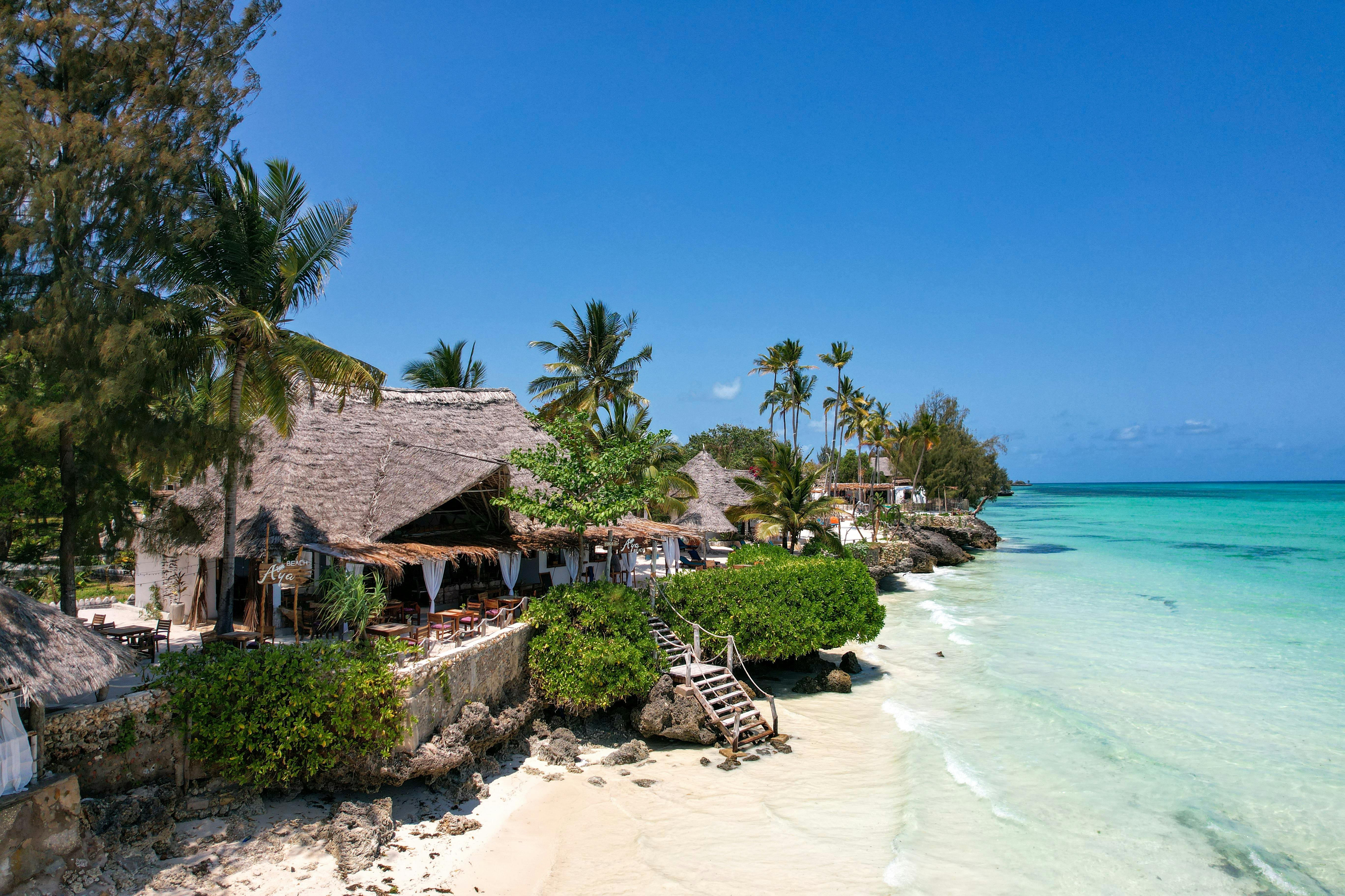 Beach & Bush: The Ultimate 5-Day Safari Experience - Arrival in Zanzibar - Beach Relaxation - Photo of the day