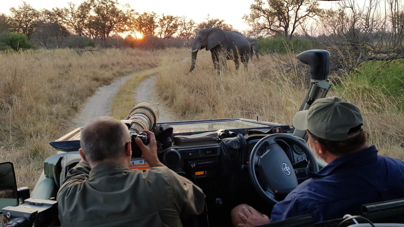Cataratas Vitória & Botswana - De Savuti a Khwai - Foto do dia