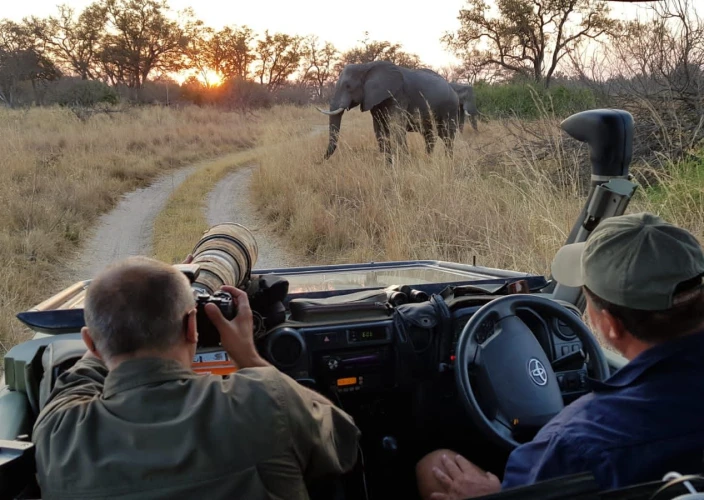 Cataratas Vitória & Botswana - De Savuti a Khwai - Foto do dia