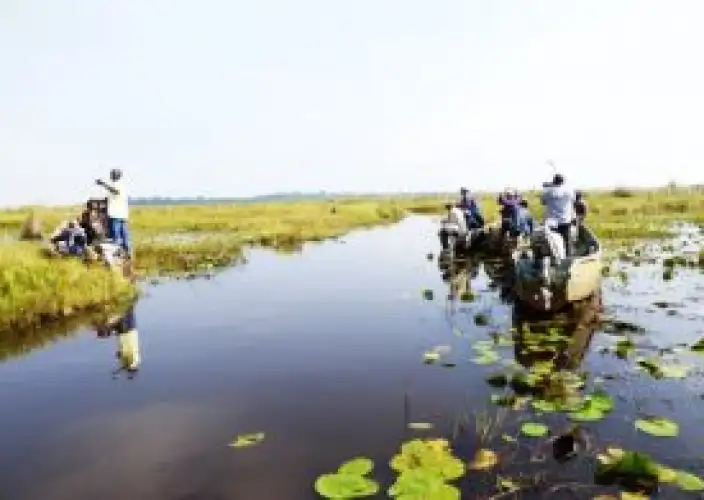 1-Day Birding Safari: Mabamba Papyrus Swamp & Shoebill Stork - A 1-Day Mabamba Swamp Shoebill Spot - Photo of the day