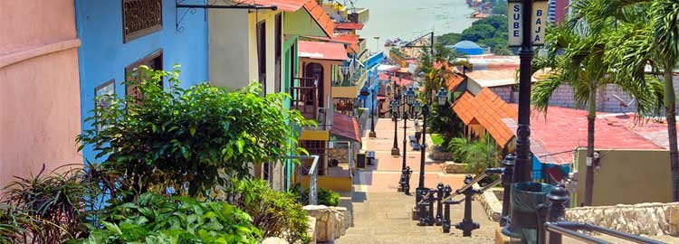 Les Andes équatoriennes hors des sentiers battus - Journée à Guayaquil - Journée à Guayaquil