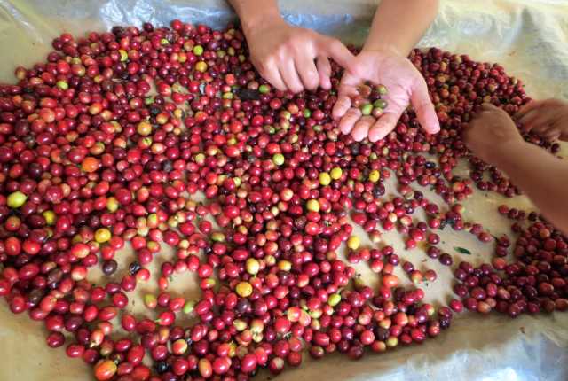 Les incontournables : des Andes aux Caraïbes - 14 jours