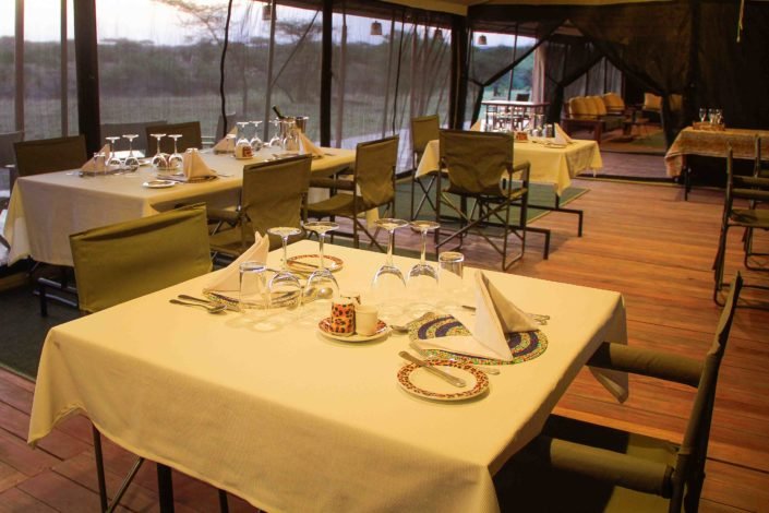 10-Day Private Tanzania Lodge Safari for Two - Serengeti - Full Day - Photo of the day