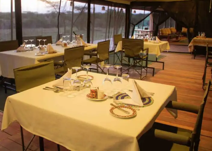 10-Day Private Tanzania Lodge Safari for Two - Serengeti - Full Day - Foto del giorno