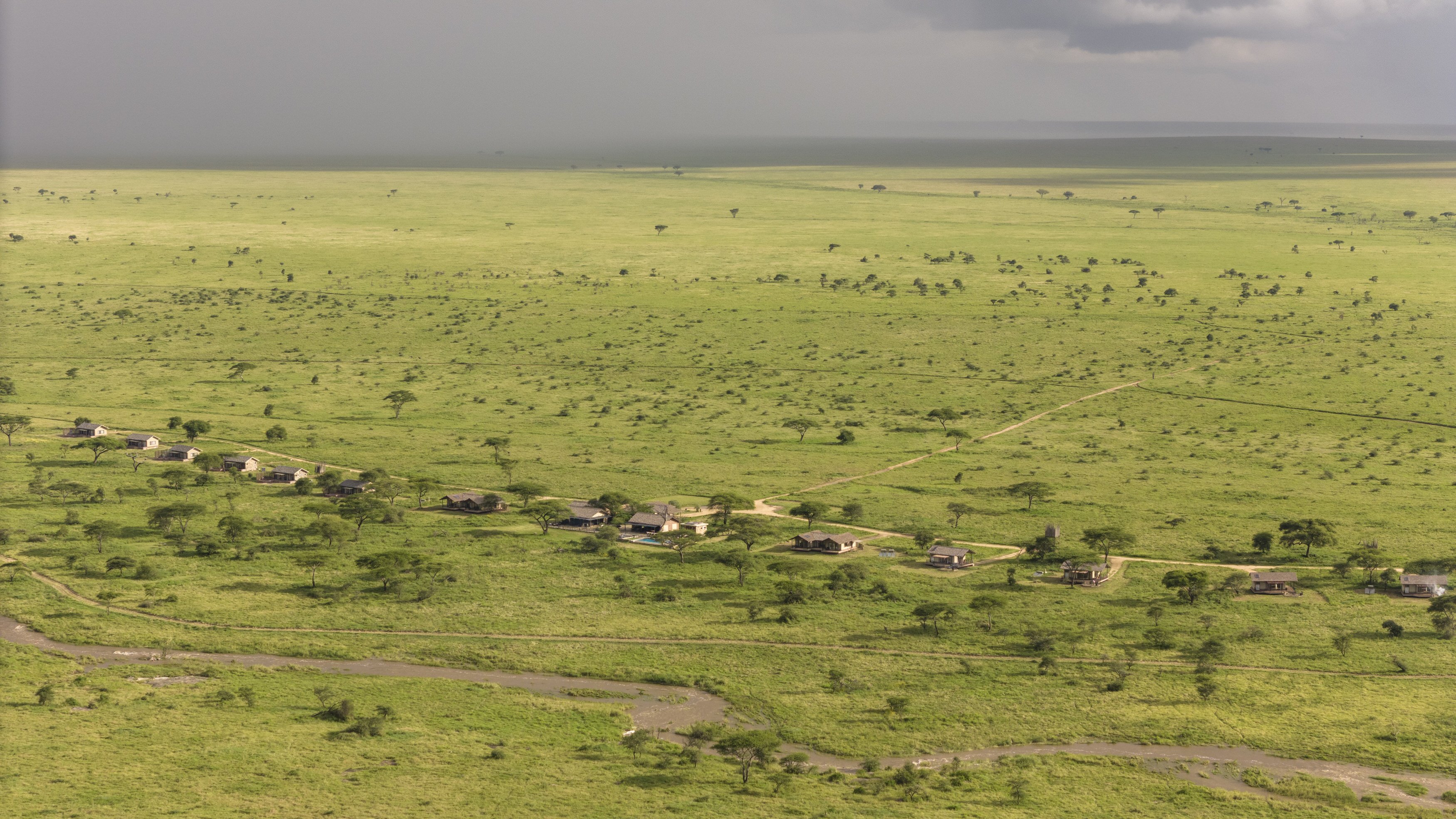 7 Days The Circle of Life: A Calving Safari Experience - Full-Day Game Drive in Southern Serengeti (Ndutu) - Photo of the day