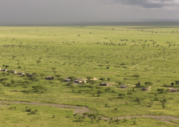 7 Dagen The Circle of Life: Een Calving Safari Ervaring - Volledige dag gamedrive in Zuid-Serengeti (Ndutu) - Foto van de dag
