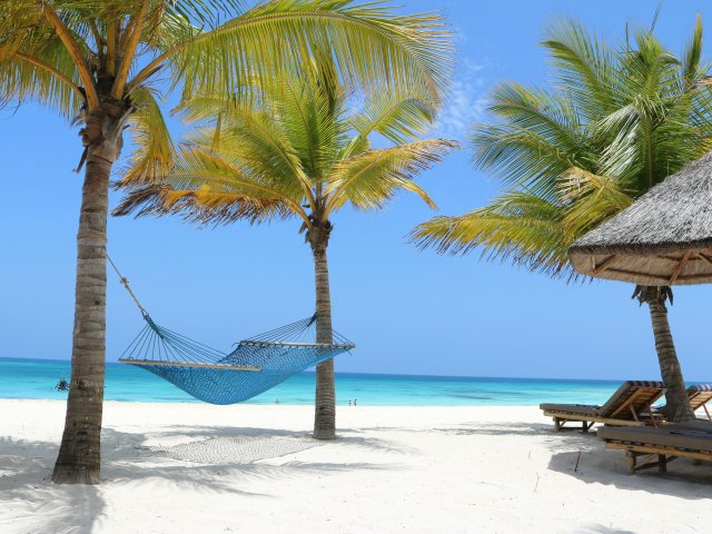 12 Jours d'Aventure Amoureuse Africaine – Safari & Zanzibar