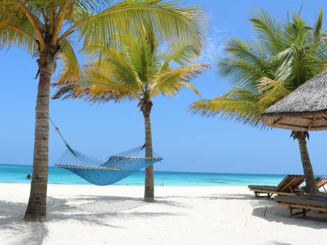 12 Jours d'Aventure Amoureuse Africaine – Safari & Zanzibar