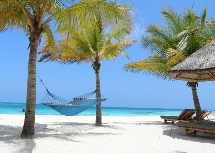 12 Days African Love Affair – Safari & Zanzibar - Zanzibar Beach Retreat - Photo of the day