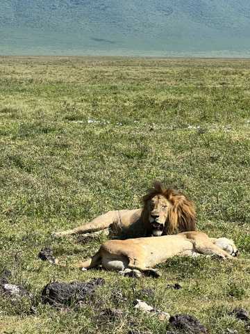 The Signature Luxury Safari Experience