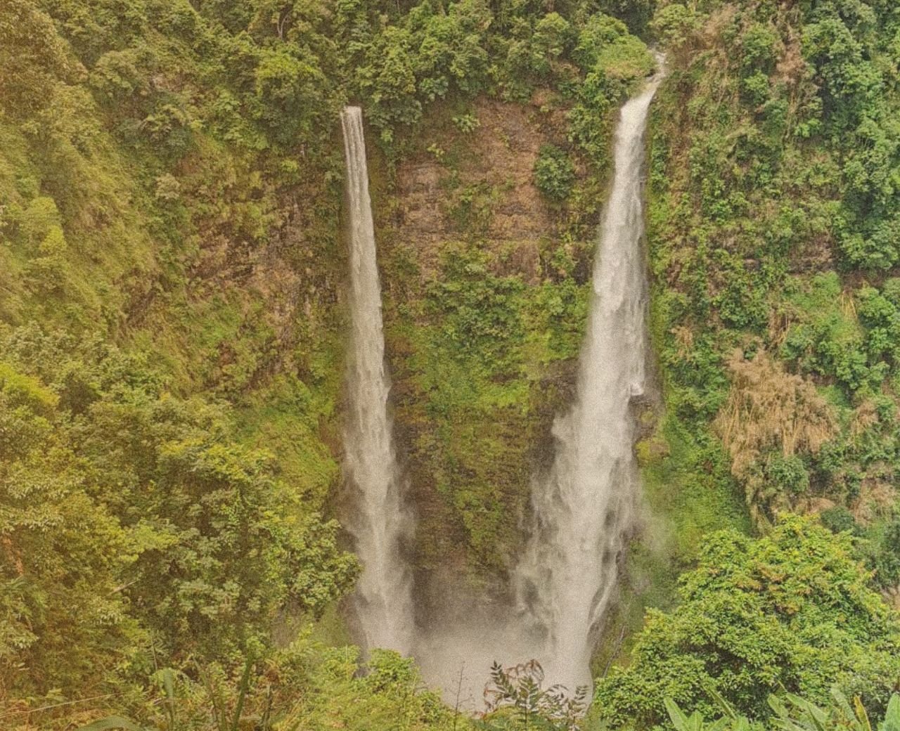 The 7 treasures of Laos: a family odyssey from north to south - The Bolaven Plateau and its coffee plantations - Foto do dia